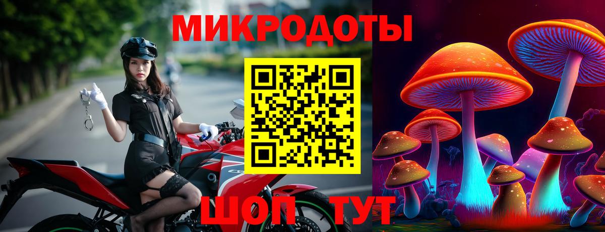 Псилоцибиновые грибы GOLDEN TEACHER Нефтекумск